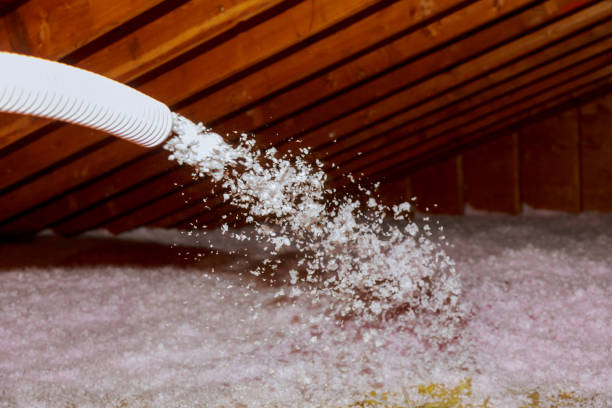 Best Cellulose Insulation in Florence, MT