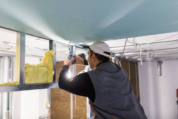 Best Blown-in Insulation in Florence, MT